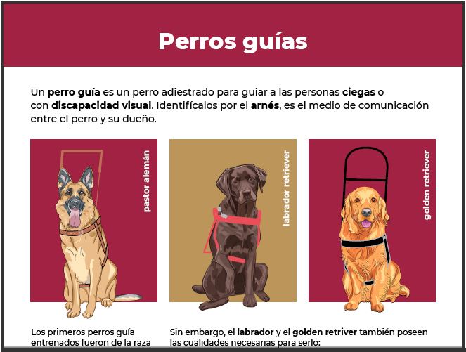 Abrir PDF